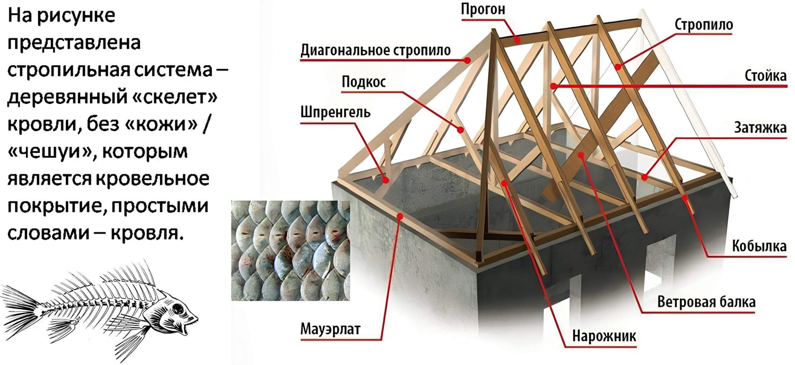 Виды мембран для кровли
