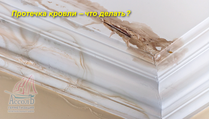 Заключение: эффективный поиск места протечки кровли
